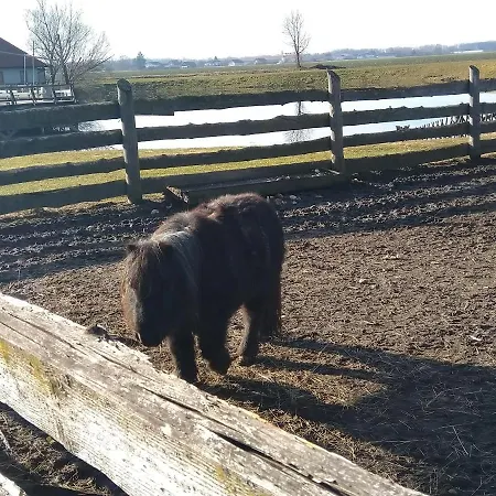 Apartman Trobentica 40 - Moravske Toplice