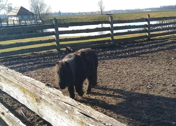 Appartement Trobentica 40 - Moravske Toplice